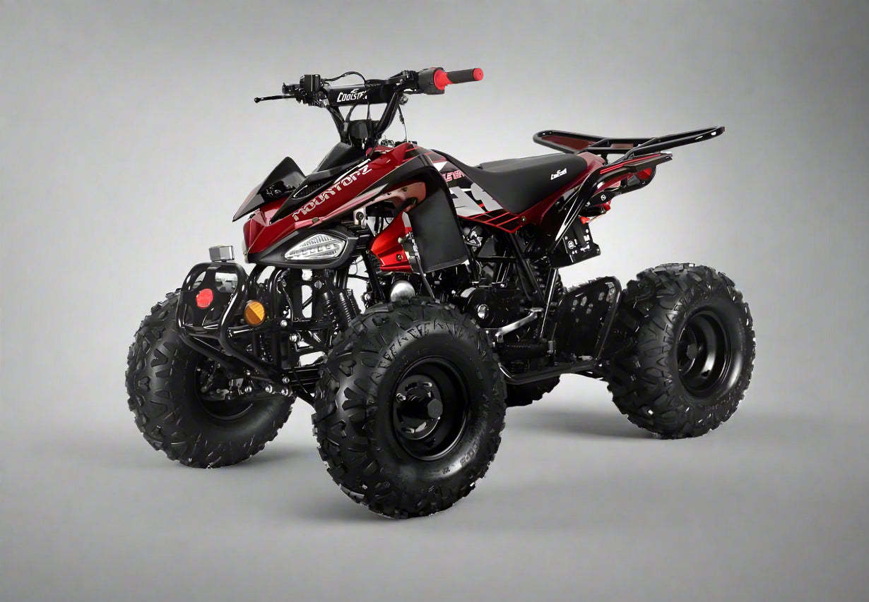 200cc Full-Size Adult ATV Automatic + Reverse