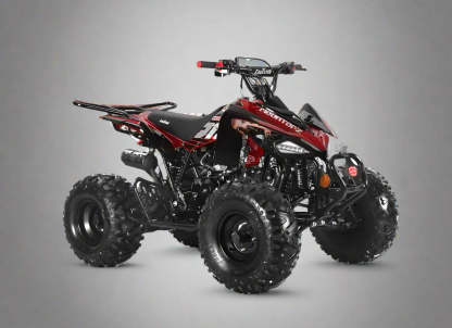 200cc Full-Size Adult ATV Automatic + Reverse