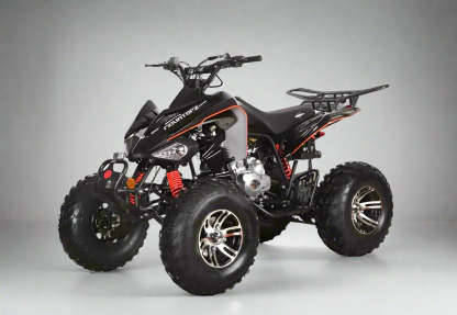 200cc Full-Size Adult ATV Automatic + Reverse