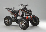 200cc Full-Size Adult ATV Automatic + Reverse