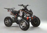 200cc Full-Size Adult ATV Automatic + Reverse