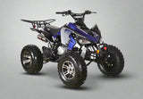 200cc Full-Size Adult ATV Automatic + Reverse