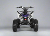 200cc Full-Size Adult ATV Automatic + Reverse