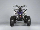 200cc Full-Size Adult ATV Automatic + Reverse