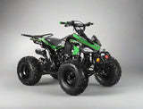 200cc Full-Size Adult ATV Automatic + Reverse