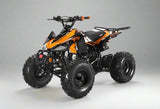 200cc Full-Size Adult ATV Automatic + Reverse