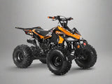 200cc Full-Size Adult ATV Automatic + Reverse