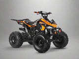 200cc Full-Size Adult ATV Automatic + Reverse