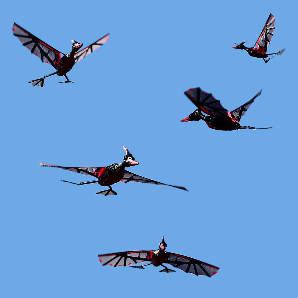 🦅Rocsky Pterosaur/Pterodactyl Ornithopter direct sales