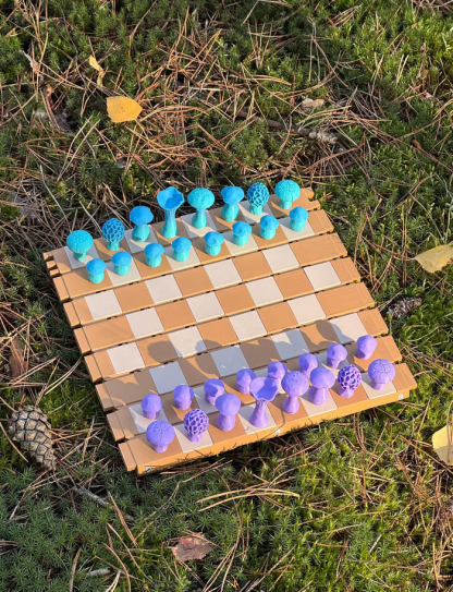 ♟️Magnetic Forest Mushrooms Chess【Worldwide Shipping】