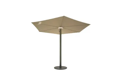 ⛱️Anamon Parasol