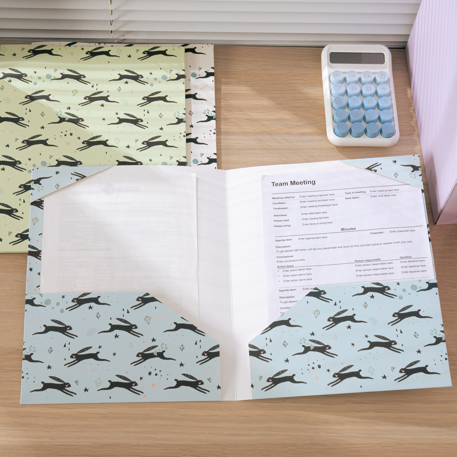 Y YOMA 6 Pack 2 Pocket Folder Letter Size Decorative Binder Folders with Pockets 3 Hole Punch Folder Paper Cute Project Folders Two Pocket 3 Ring File Folder for School Office Home, Rabbit Design