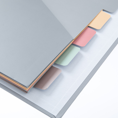 Y YOMA Colored 3 Ring Binder Dividers with Pocket Letter Size Paper Binder Tabs Page Dividers Cute Decorative Binder Index Dividers for Office School Home with 1/5-Cut Tabs, Morandi Color(5 Sheet)