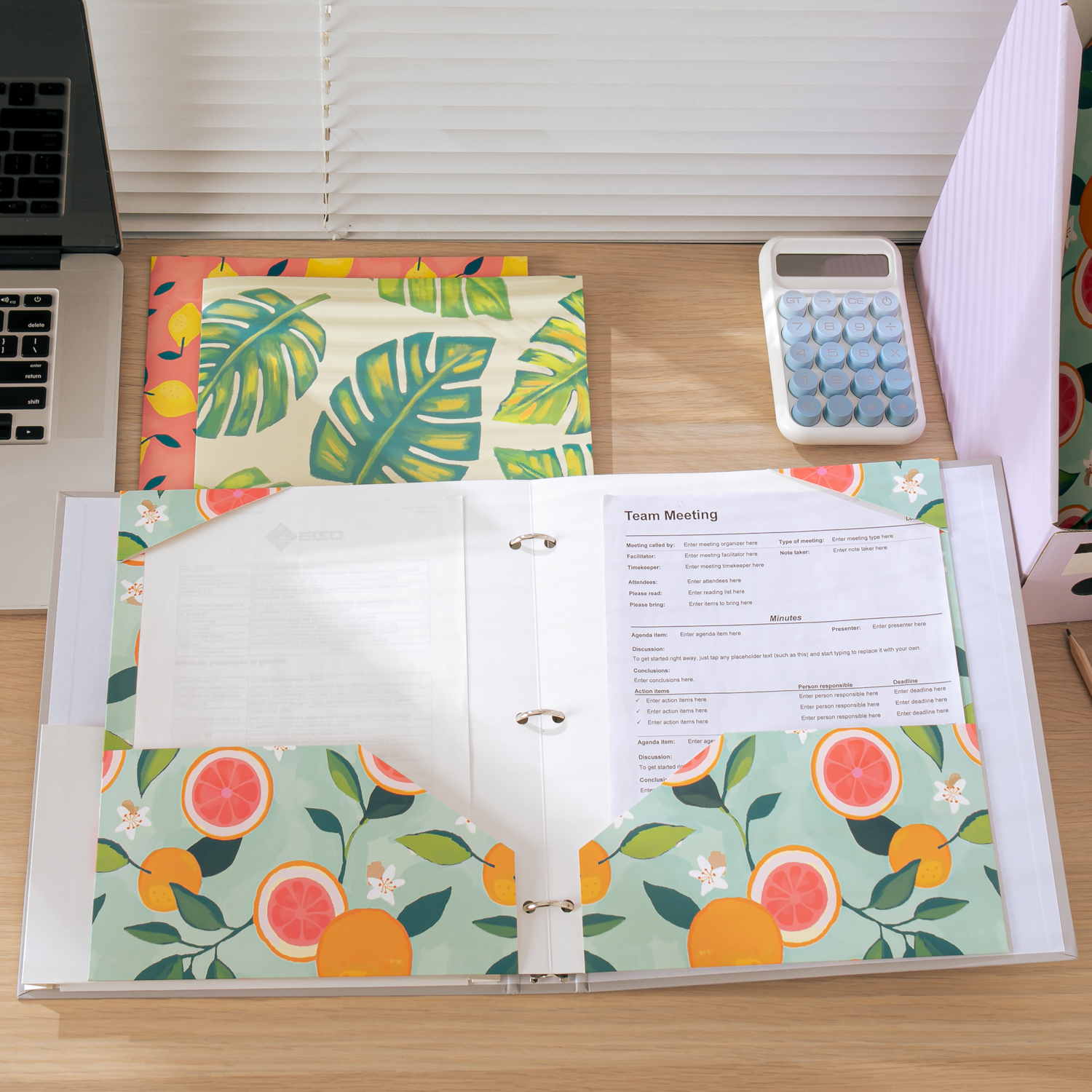 Y YOMA 6 Pack 2 Pocket Folder Letter Size Decorative Binder Folders with Pockets 3 Hole Punch Folder Paper Cute Project Folders Two Pocket 3 Ring File Folder for School Office Home, Tropical Fruit