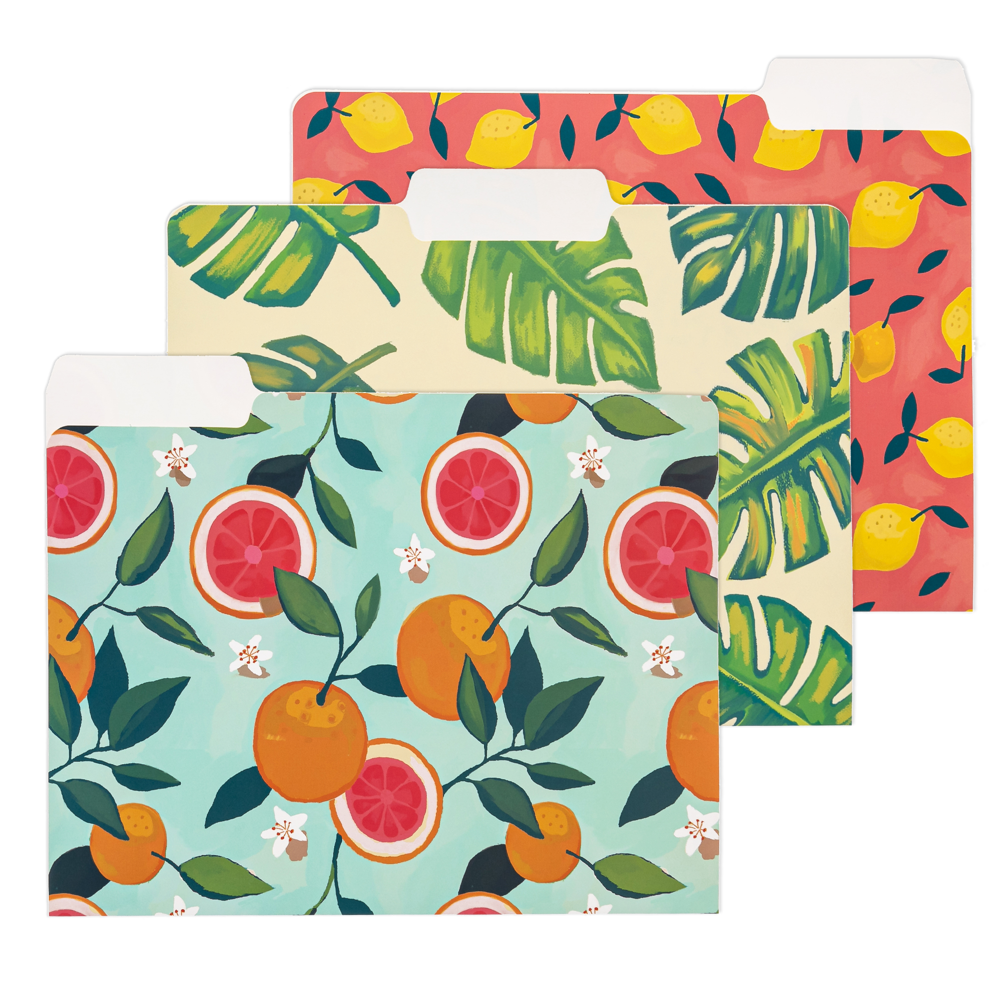 Y YOMA 12 Pack Decorative File Folders Letter Size File Folder with 1/3-Cut Tab Cute Pretty Colored Heavyweight Filing Folder File Organizers for Office School Home Desktop, Tropical Fruits