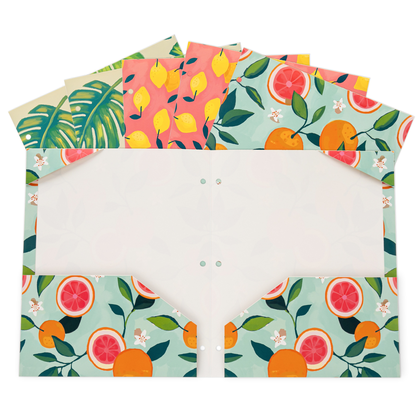 Y YOMA 6 Pack 2 Pocket Folder Letter Size Decorative Binder Folders with Pockets 3 Hole Punch Folder Paper Cute Project Folders Two Pocket 3 Ring File Folder for School Office Home, Tropical Fruit