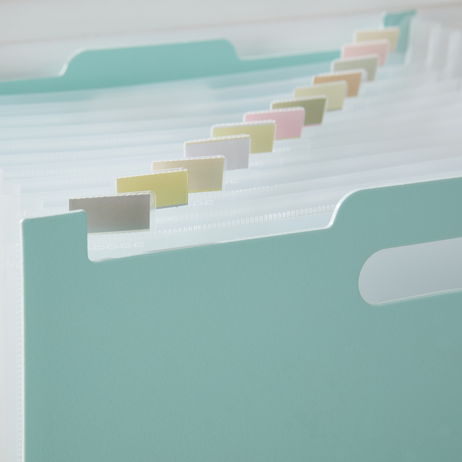 Y YOMA 2 Pack Accordion File Organizer with Handle 12 Pockets Expanding File Folder with Removable Tabs for A4 Letter Size Paper Plastic Filing Organizer Document Bill Receipt Holder, Mint Green