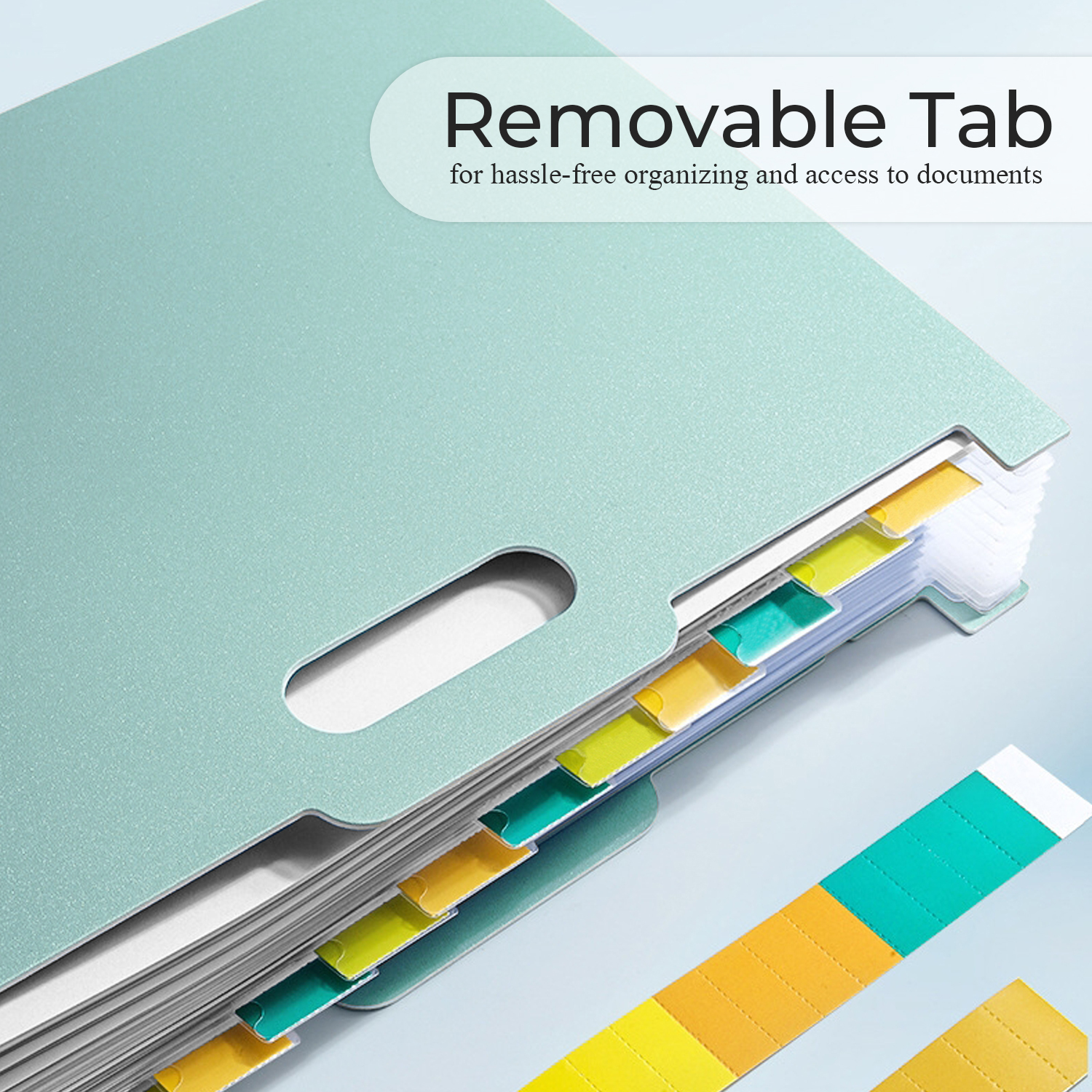 Y YOMA 2 Pack Accordion File Organizer with Handle 12 Pockets Expanding File Folder with Removable Tabs for A4 Letter Size Paper Plastic Filing Organizer Document Bill Receipt Holder, Mint Green