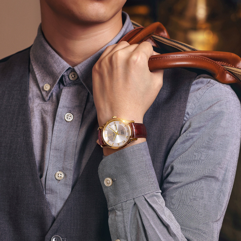 ROCOSJEWE R0131 Men's Watch Fashion Automatic Watches for Men Men's Mechanical Watch Leather Strap Waterproof Calendar Week Gift 