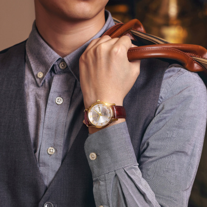 ROCOSJEWE R0131 Men's Watch Fashion Automatic Watches for Men Men's Mechanical Watch Leather Strap Waterproof Calendar Week Gift 