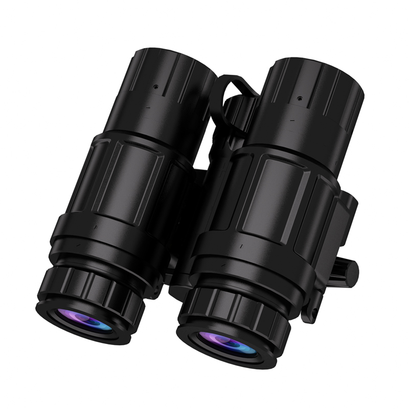 Head-mounted night vision device