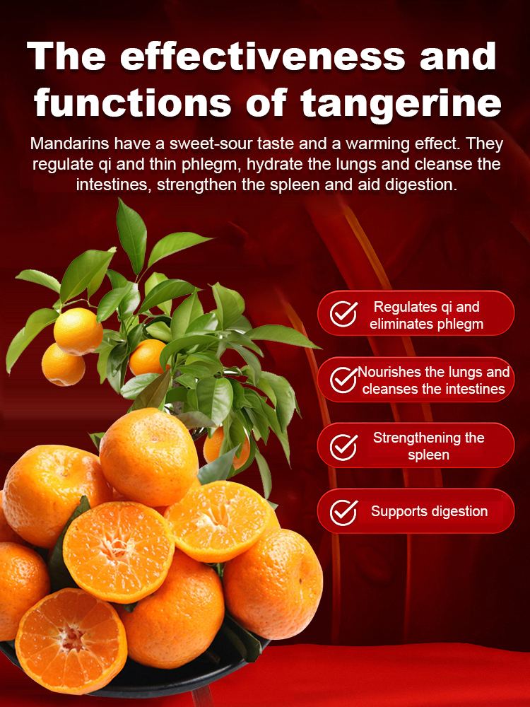 [Extra Sweet and Juicy] Sugar Orange Saplings Bearing Fruit in the Same Year