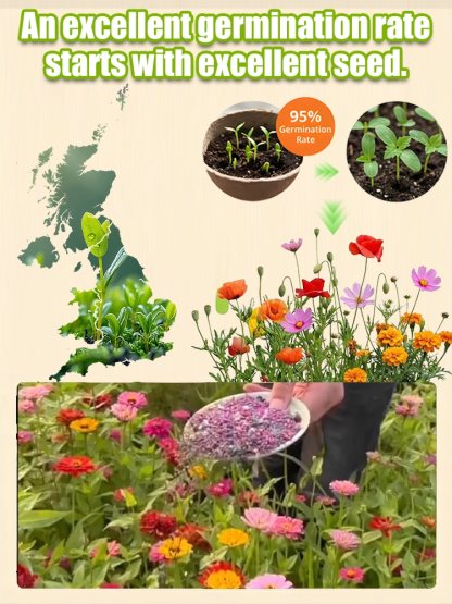 【Over 240,000 Purchased】Easy-to-Grow Mixed Flower Seeds