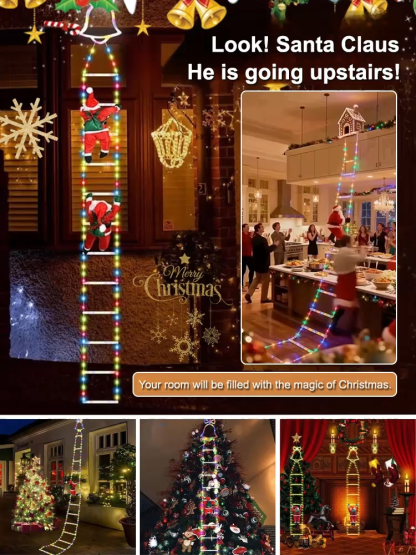 Window display with festive string lights