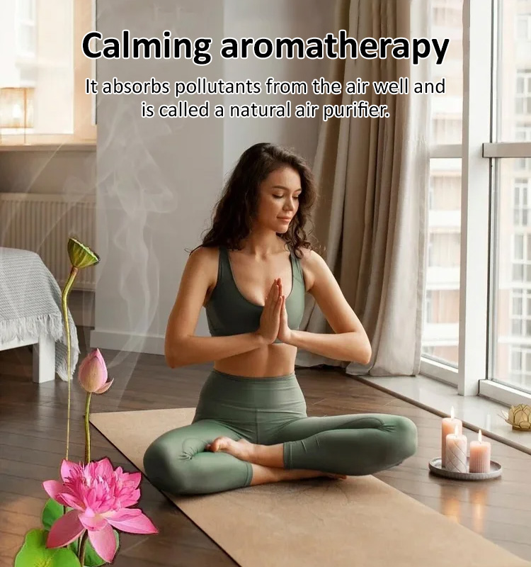 Home ornamental lotus seeds