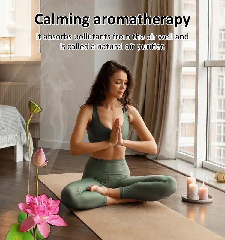 Home ornamental lotus seeds