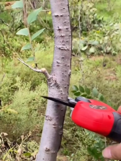 High-Speed Lithium Electric Pruning Shears for Thick Branches