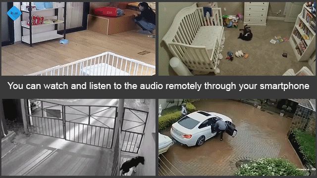 y1.gif