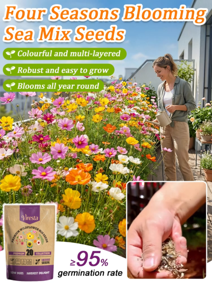 【Over 240,000 Purchased】Easy-to-Grow Mixed Flower Seeds