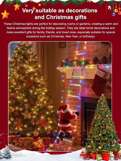 Window display with festive string lights