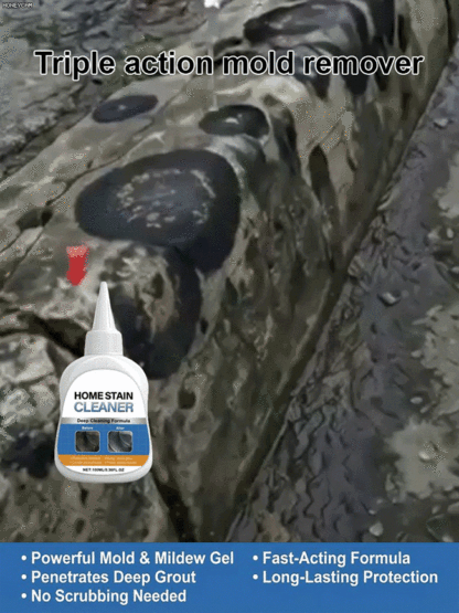 Multi-functional Mold Remover Gel
