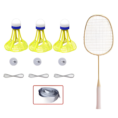 Badminton Training Set