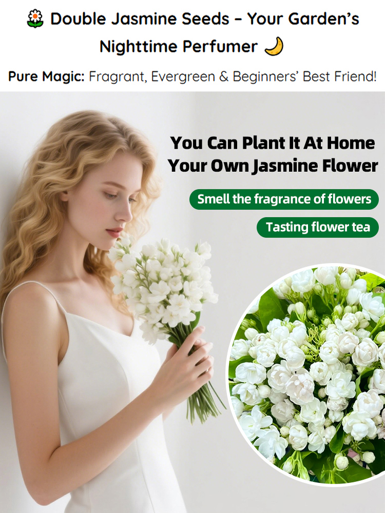 【Perfume of the Garden】Four Seasons Blooming Double-petaled Jasmine Seeds