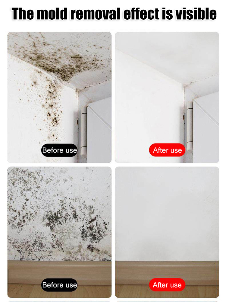 Wall Stain & Mold Removal Refreshing Cleaner Spray 