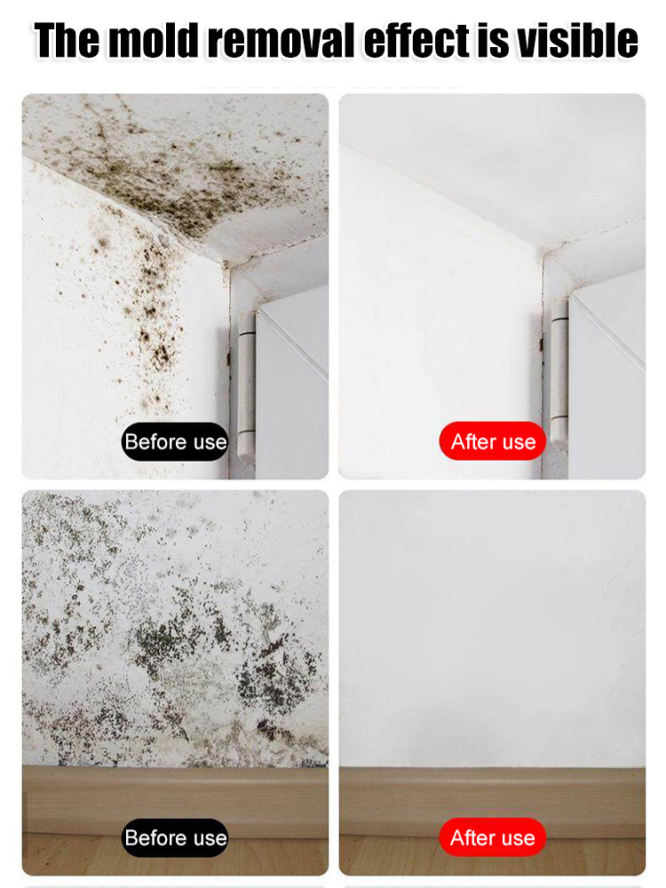 Wall Stain & Mold Removal Refreshing Cleaner Spray 