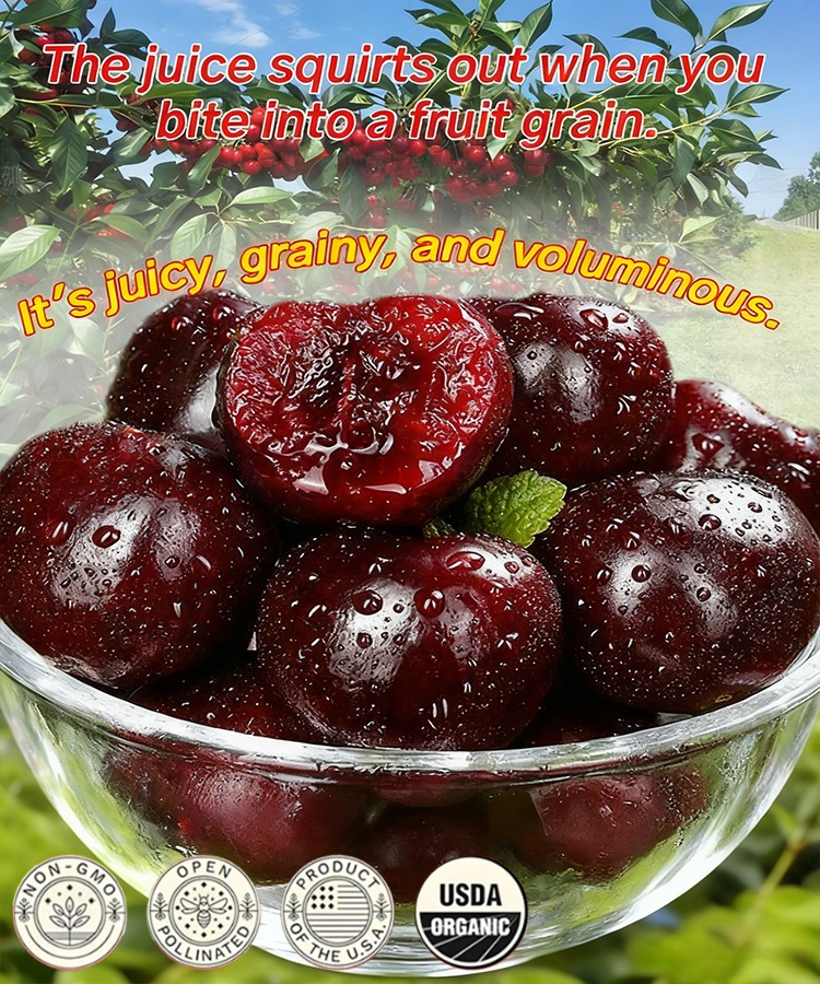 Packed with live cherry pits