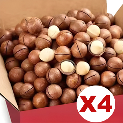 König der Tausend Früchte】Niedrigtemperatur geröstete Macadamianüsse