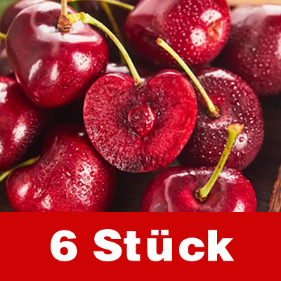 Chilenische Importkirschen – Eine neue Züchtung aus dem Weltraum.