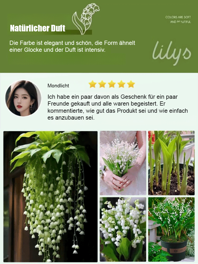 Natürlicher Duft - Wunderschöne Maiglöckchen Samen