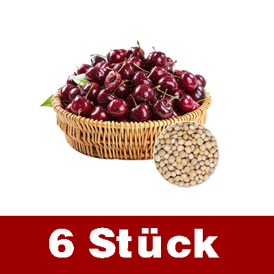 Vollgepackt mit lebenden Kirschkernen