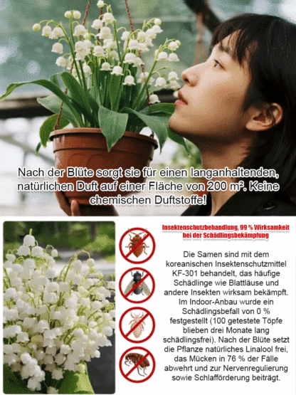 Natürlicher Duft - Wunderschöne Maiglöckchen Samen