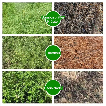 【Meister des Pflanzenwachstums】Spezialisten für Unkrautbekämpfung