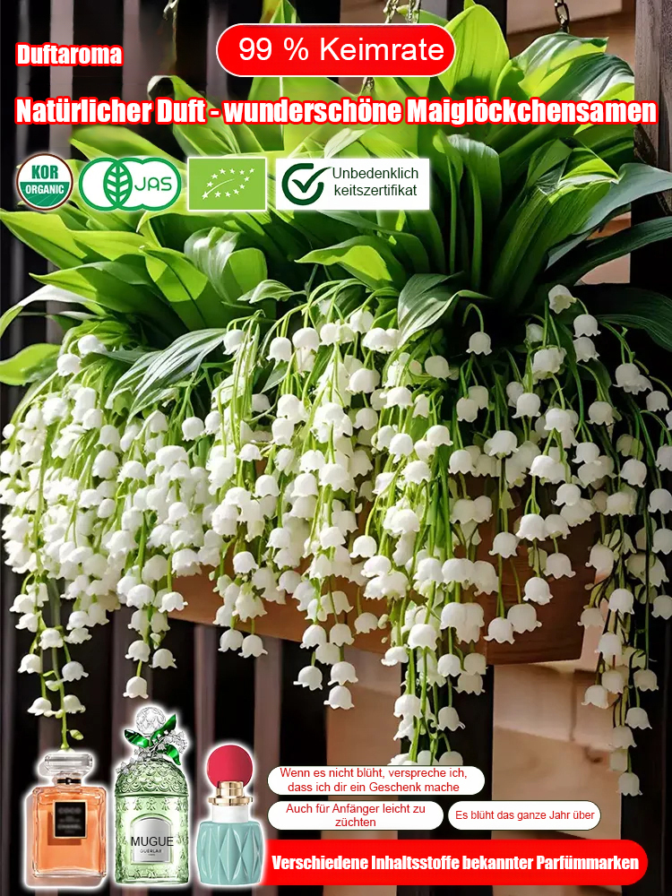 Natürlicher Duft - Wunderschöne Maiglöckchen Samen