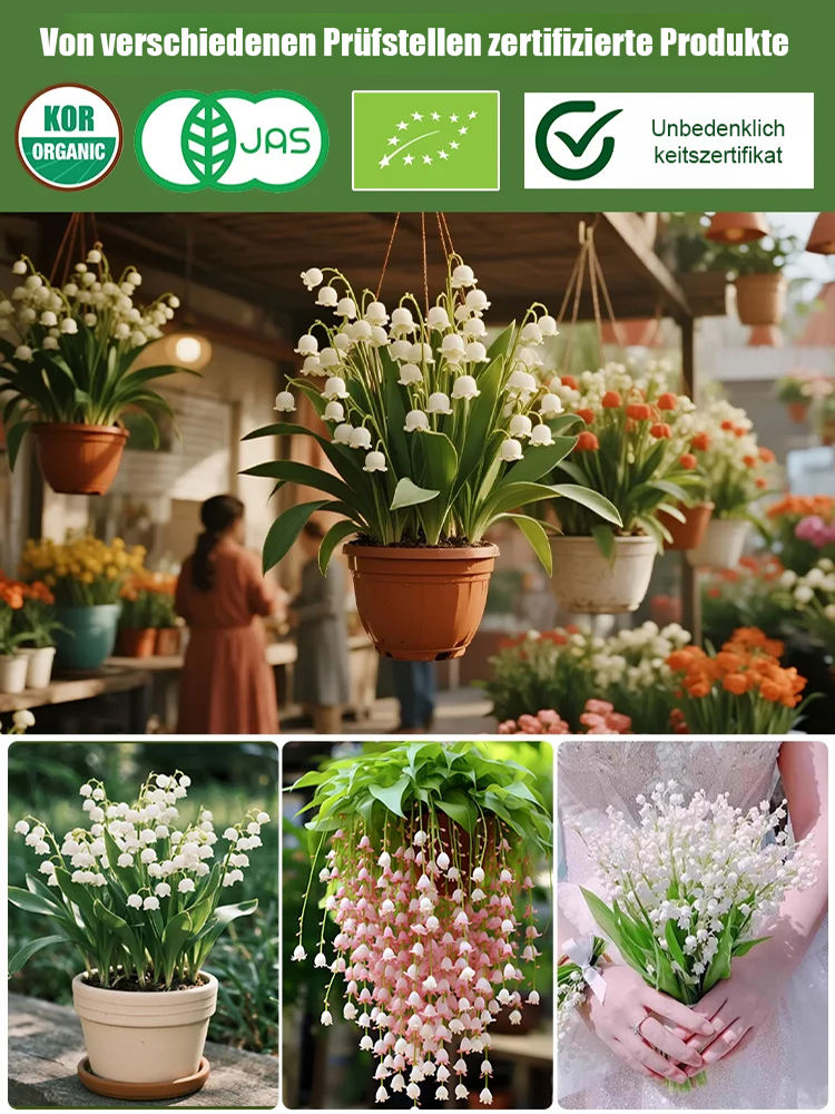 Natürlicher Duft - Wunderschöne Maiglöckchen Samen