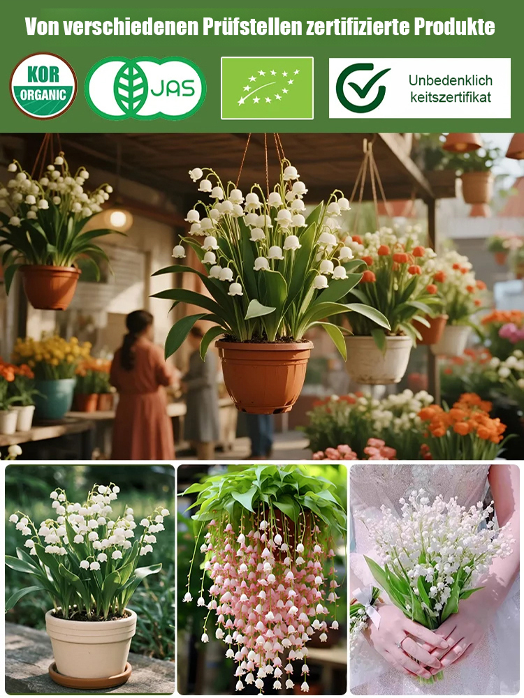 Natürlicher Duft - Wunderschöne Maiglöckchen Samen