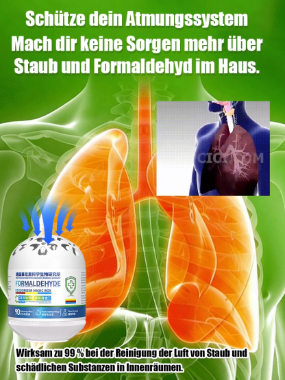 Bio Luftreinigungsbox aus München – Entfernt Formaldehyd effektiv